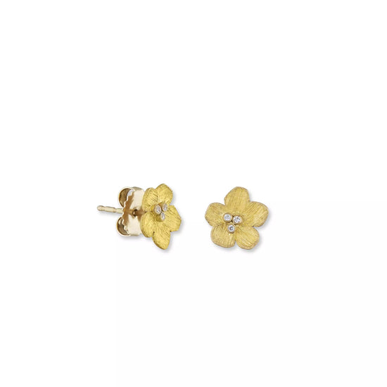 Buttercup Stud